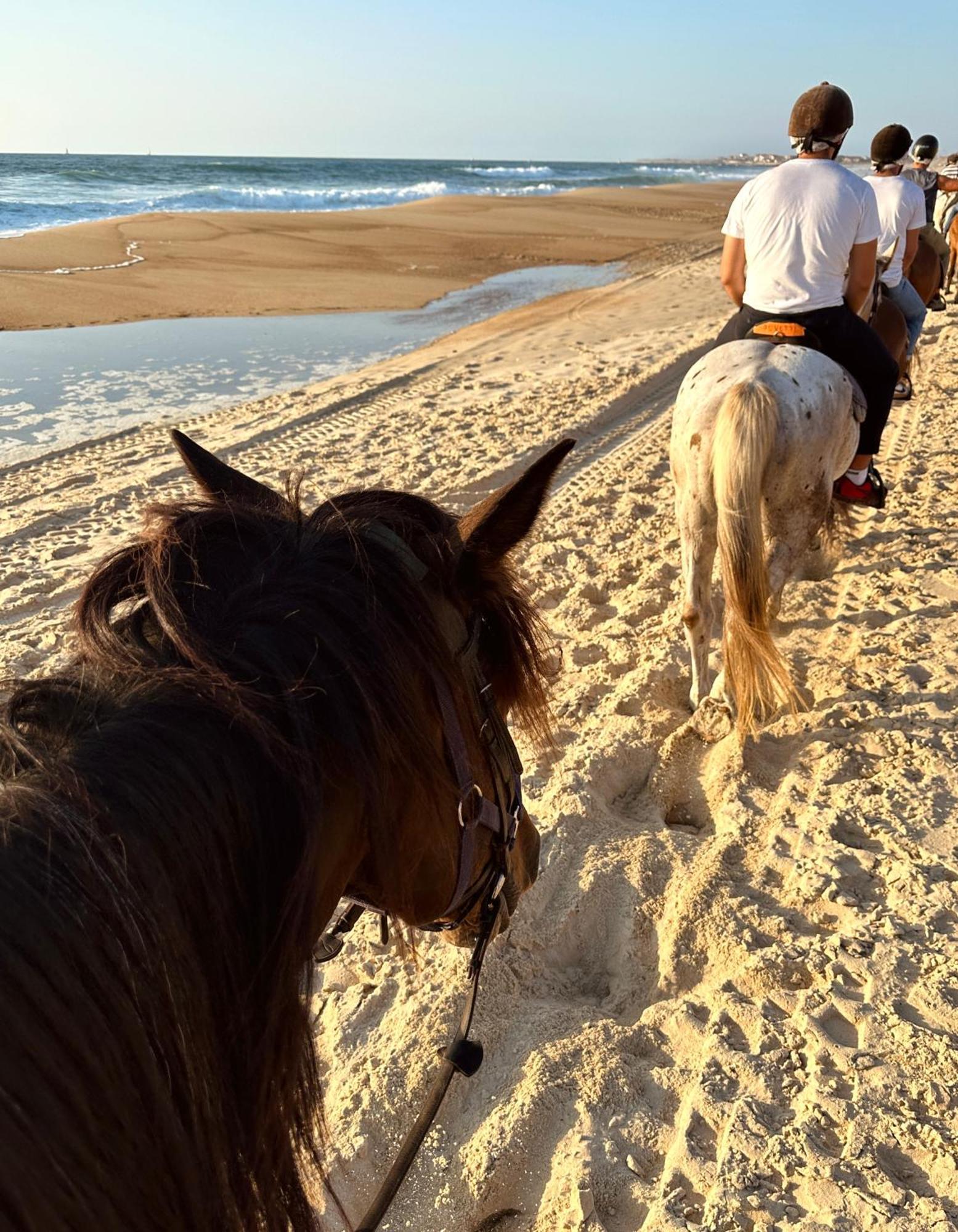 Aparra Auberge Capbreton Εξωτερικό φωτογραφία